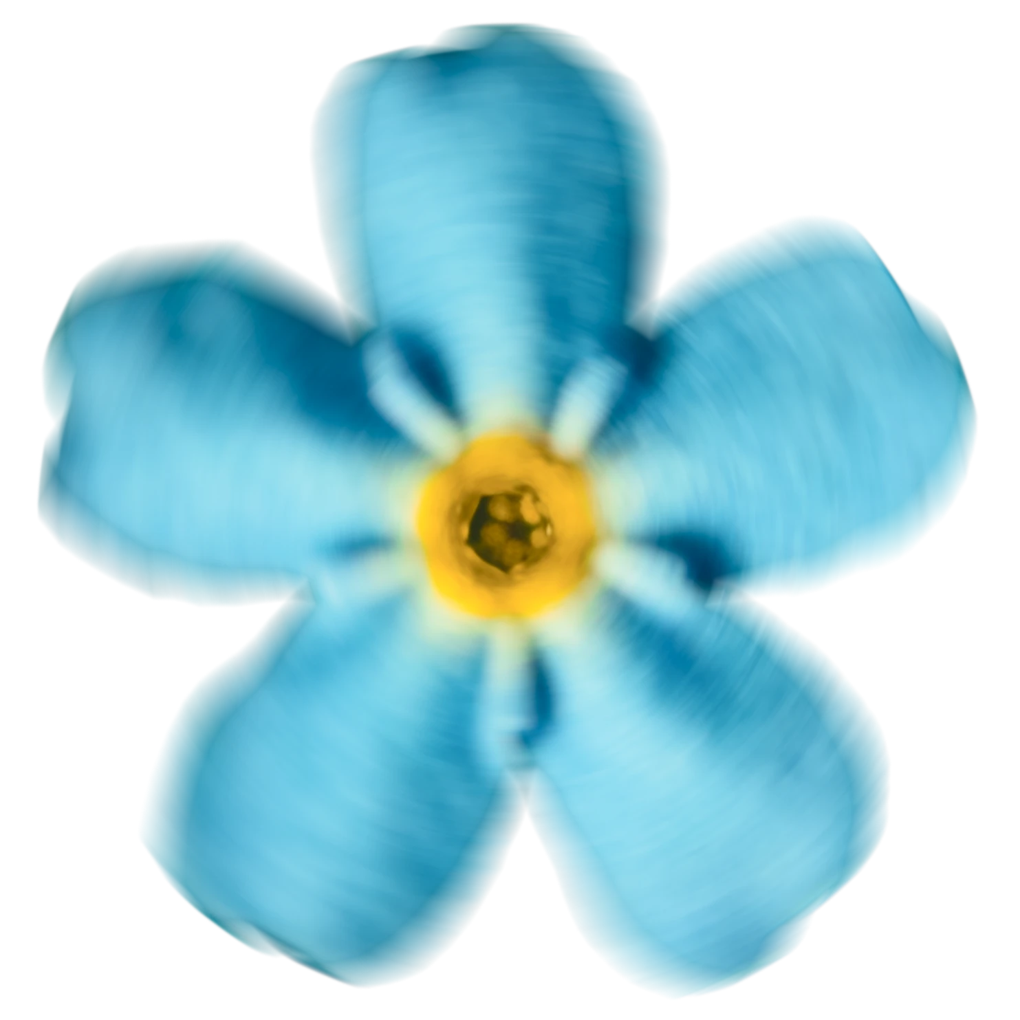 assets/images/logo.webp
