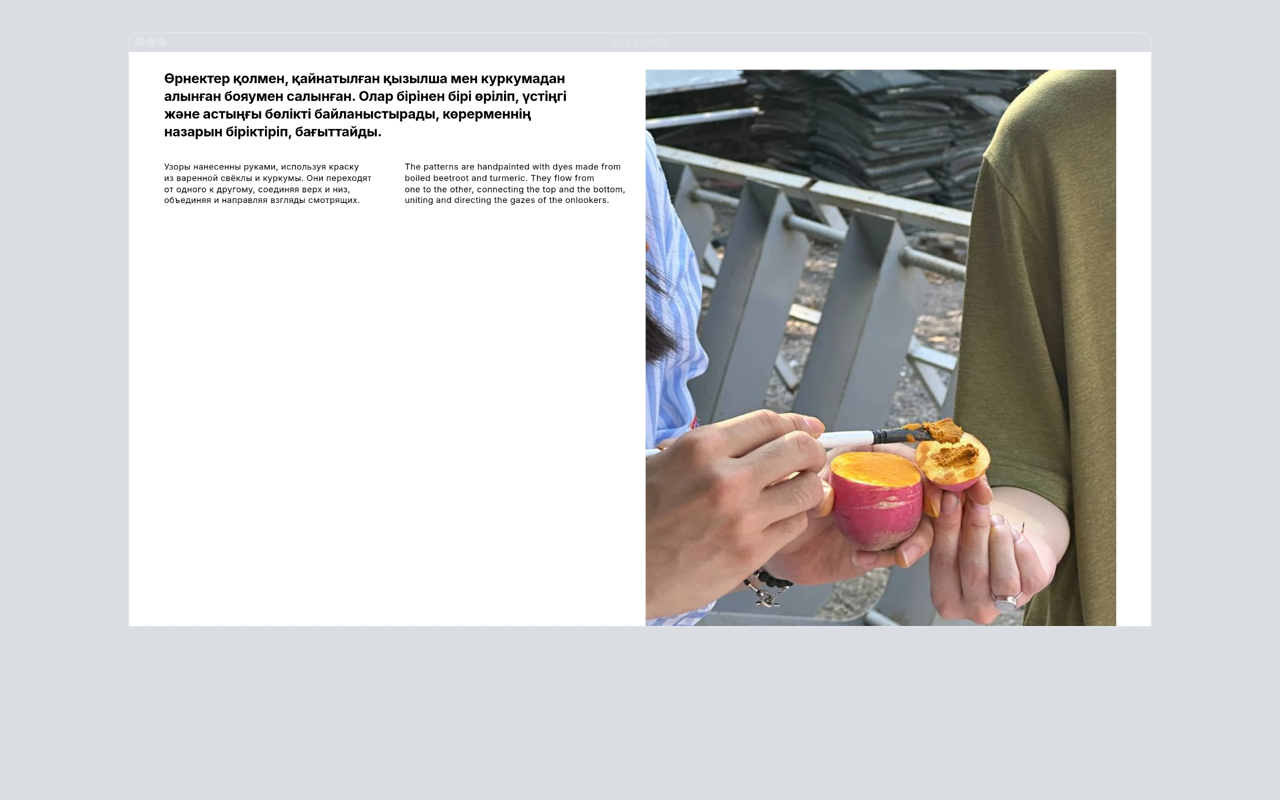 assets/images/2.webp