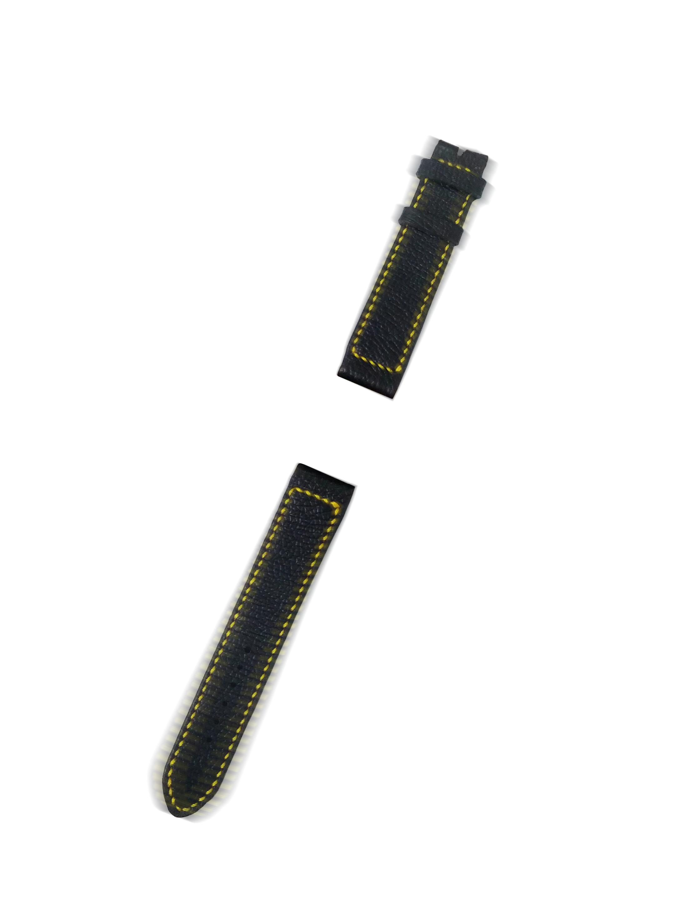 assets/images/5.webp