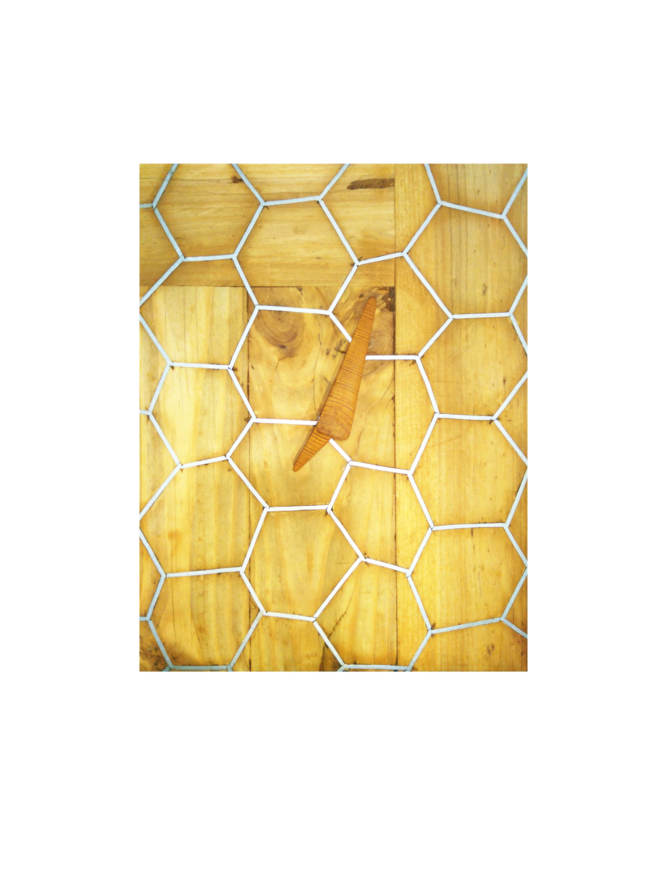 assets/images/2.webp